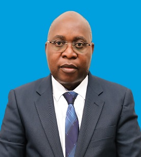 Honorable Dr. Damas Daniel Ndumbaro